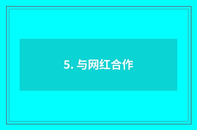 5. 与网红合作