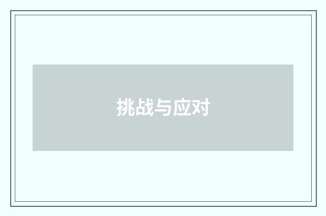 挑战与应对