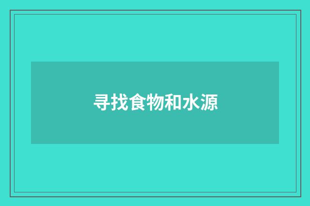 寻找食物和水源