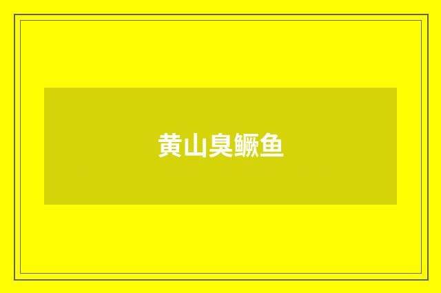 黄山臭鳜鱼