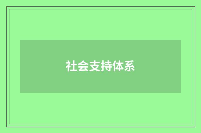 社会支持体系
