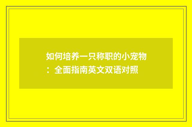 如何培养一只称职的小宠物:全面指南英文双语对照