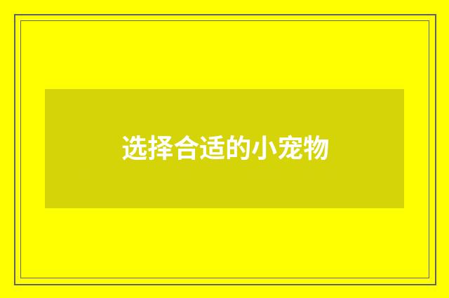 选择合适的小宠物