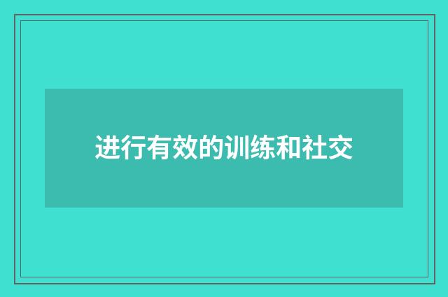 进行有效的训练和社交