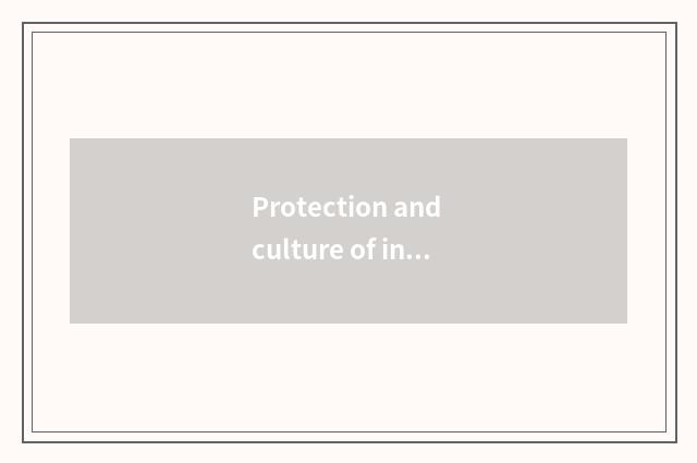 Protection and culture of inheritance China ancient time