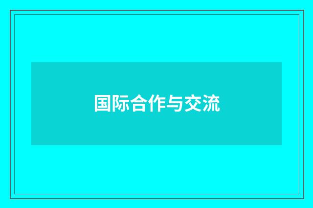 国际合作与交流