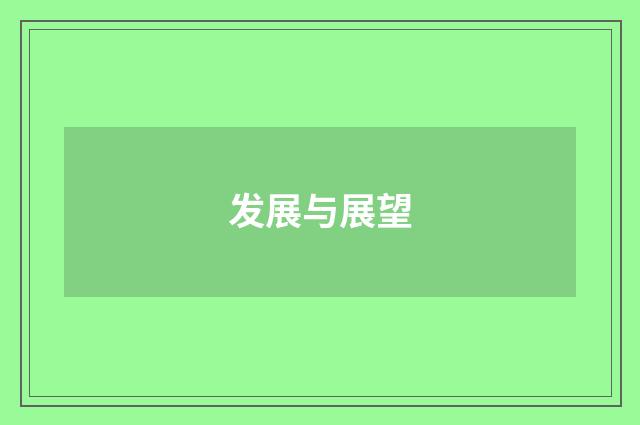 发展与展望