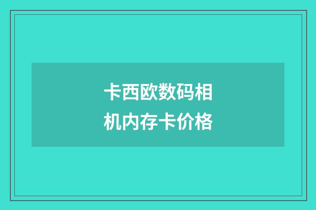 卡西欧数码相机内存卡价格