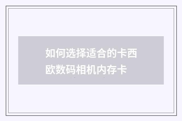 如何选择适合的卡西欧数码相机内存卡
