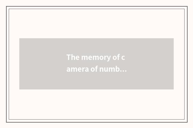 The memory of camera of number of card Western Europe that how chooses to suit g