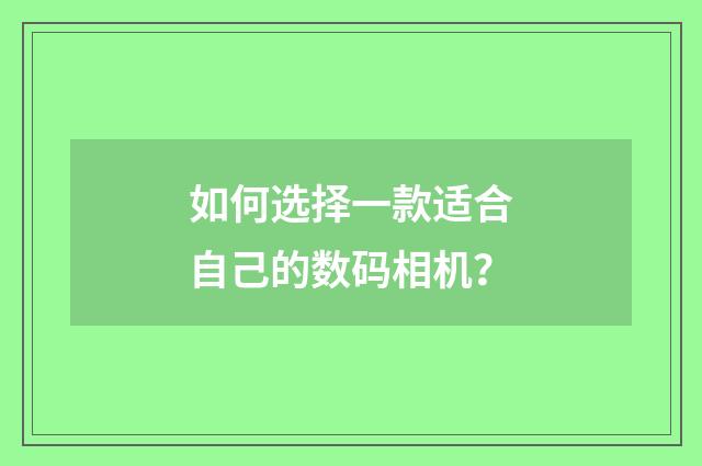 如何选择一款适合自己的数码相机?