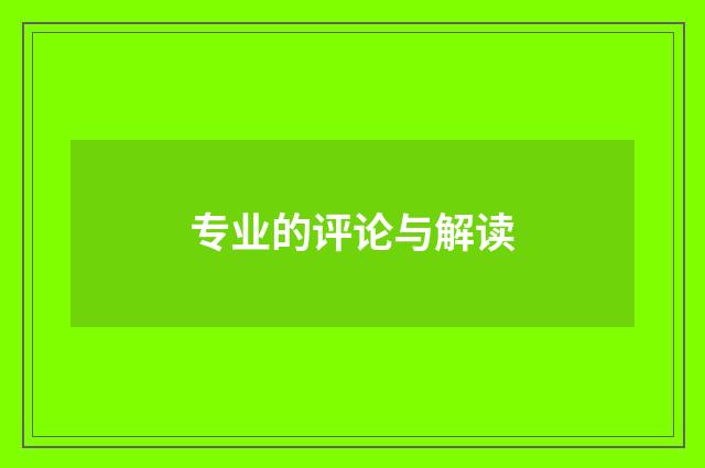 专业的评论与解读