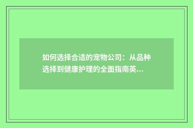 如何选择合适的宠物公司:从品种选择到健康护理的全面指南英文双语对照