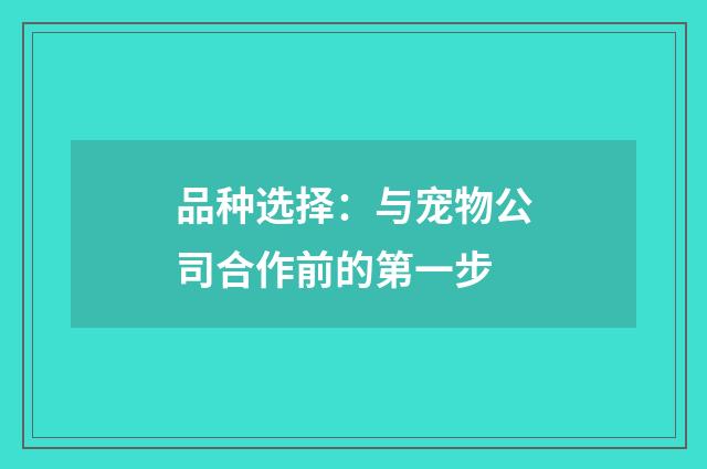 品种选择:与宠物公司合作前的第一步