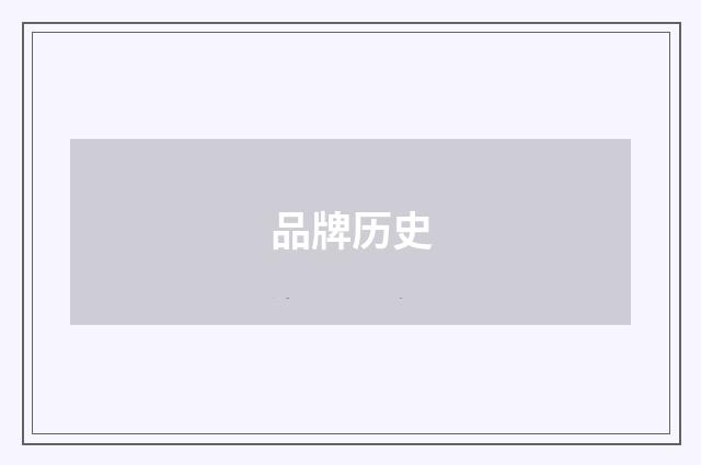 品牌历史