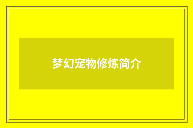 梦幻宠物修炼简介