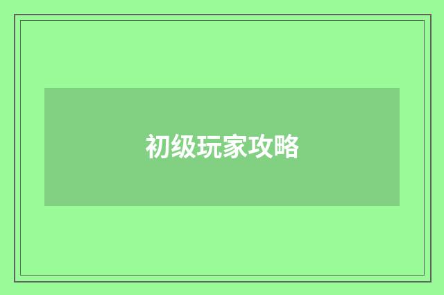 初级玩家攻略