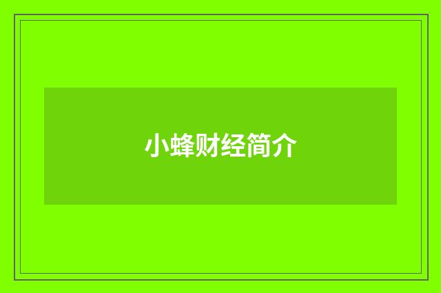 小蜂财经简介