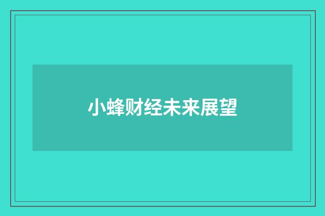 小蜂财经未来展望