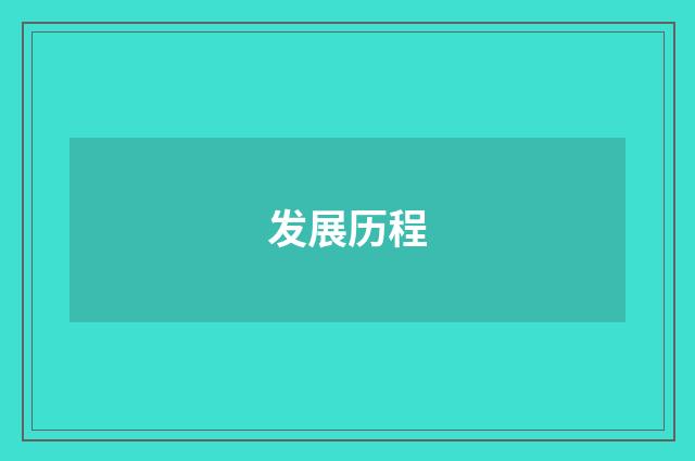 发展历程