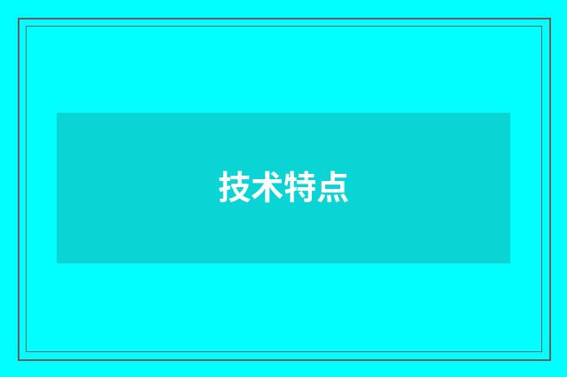 技术特点