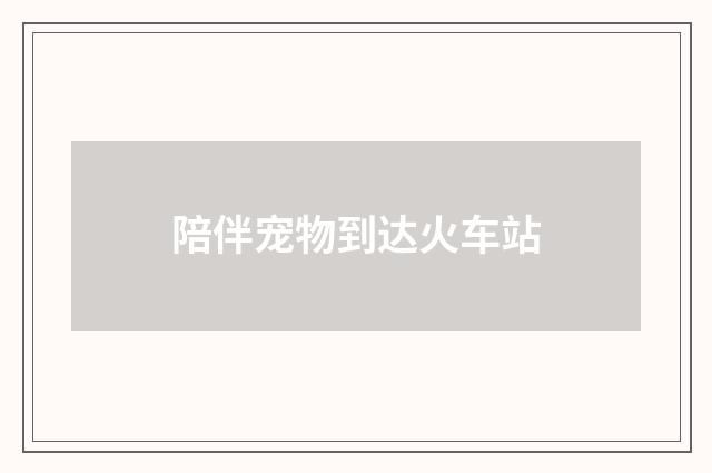 陪伴宠物到达火车站