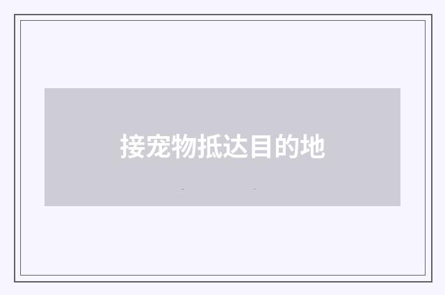 接宠物抵达目的地