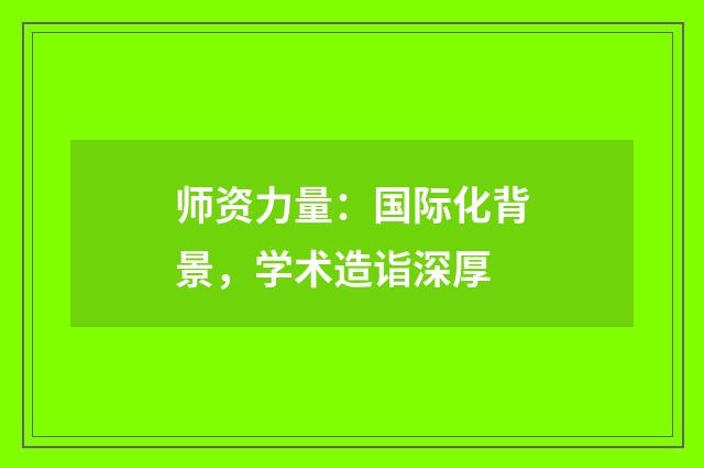 师资力量:国际化背景,学术造诣深厚
