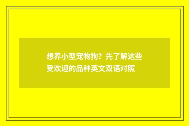 想养小型宠物狗？先了解这些受欢迎的品种英文双语对照