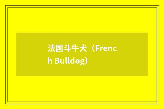 法国斗牛犬（French Bulldog）