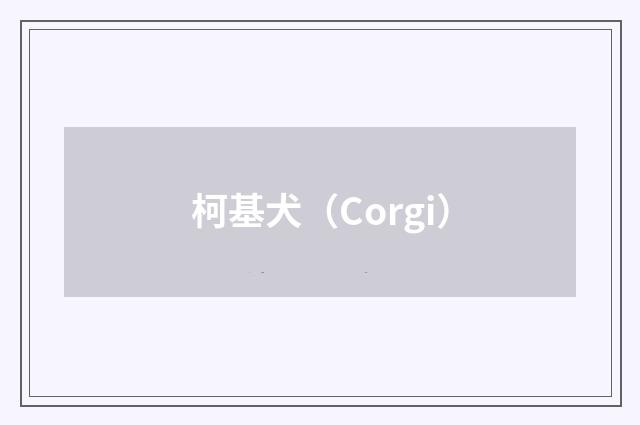 柯基犬（Corgi）