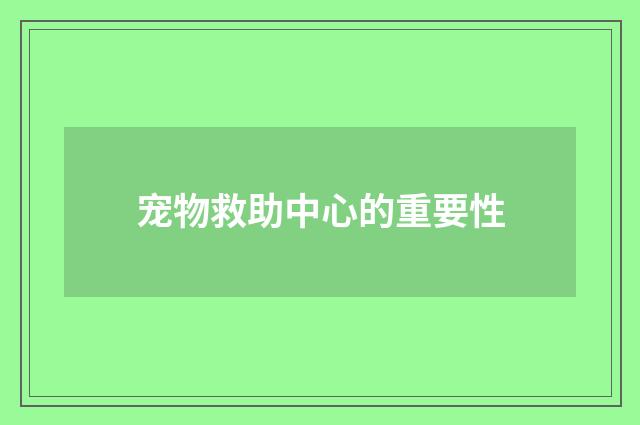 宠物救助中心的重要性