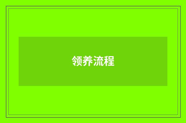 领养流程