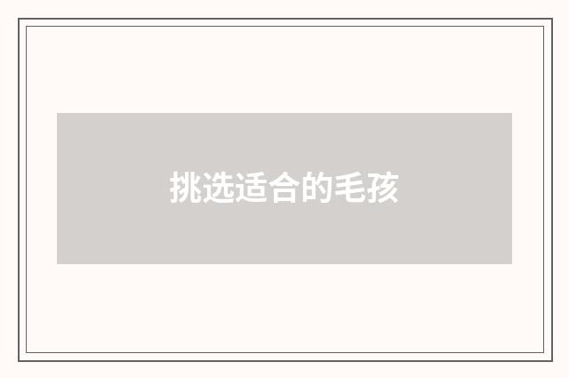 挑选适合的毛孩