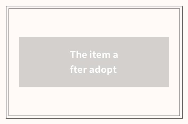 The item after adopt