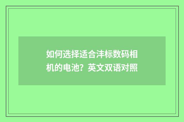 如何选择适合沣标数码相机的电池?英文双语对照