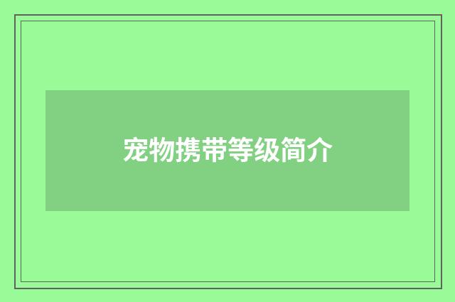 宠物携带等级简介