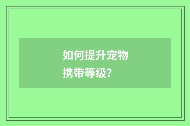 如何提升宠物携带等级?