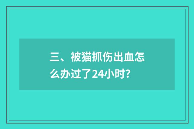 三、被猫抓伤出血怎么办过了24小时?