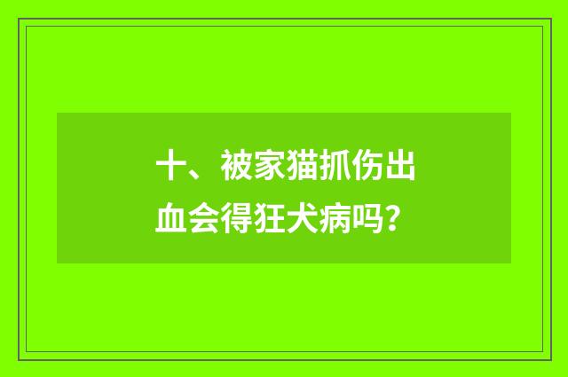 十、被家猫抓伤出血会得狂犬病吗？