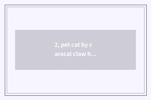 2, pet cat by caracal claw how to do?