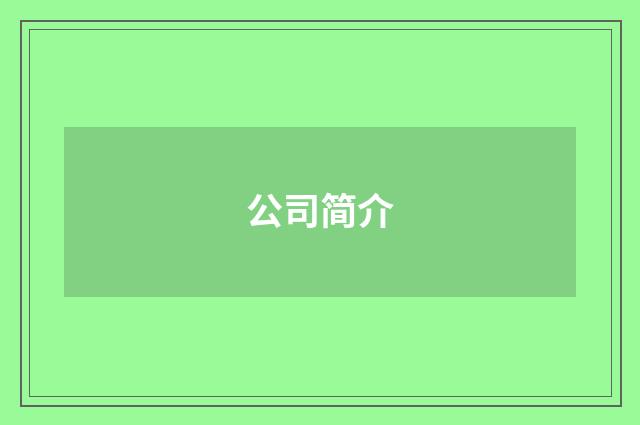 公司简介