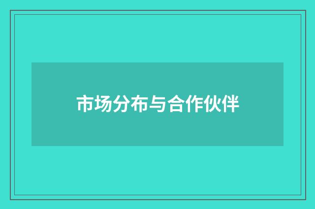 市场分布与合作伙伴