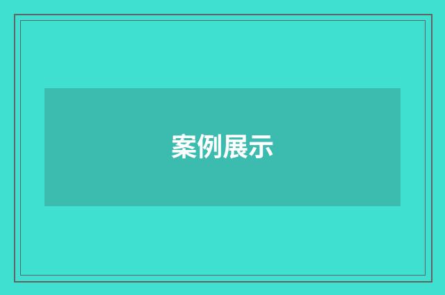 案例展示
