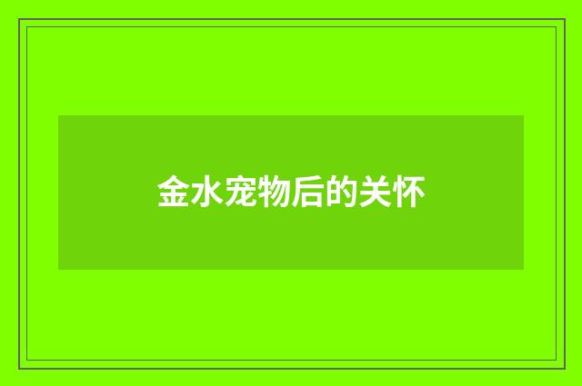 金水宠物后的关怀