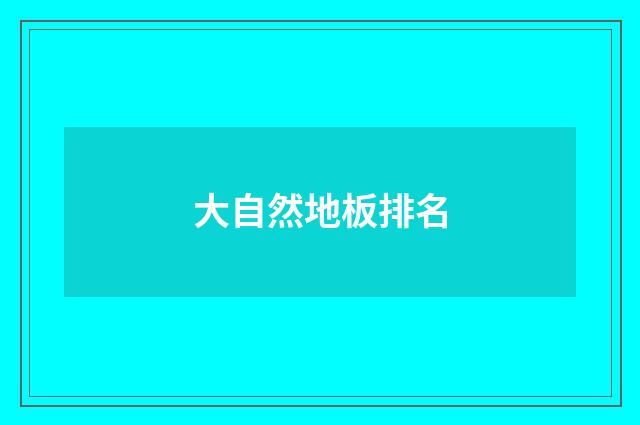 大自然地板排名