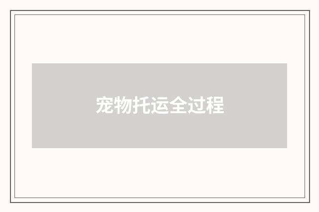 宠物托运全过程