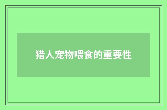 猎人宠物喂食的重要性