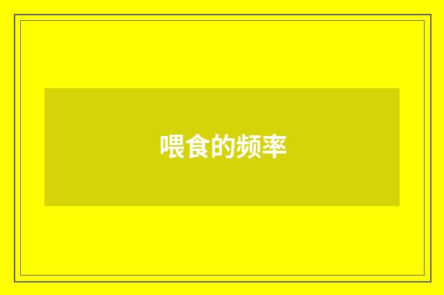 喂食的频率
