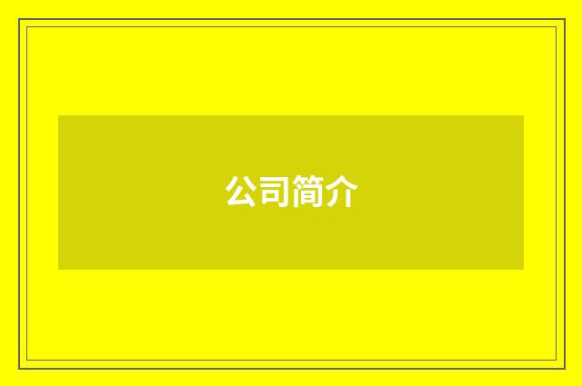 公司简介